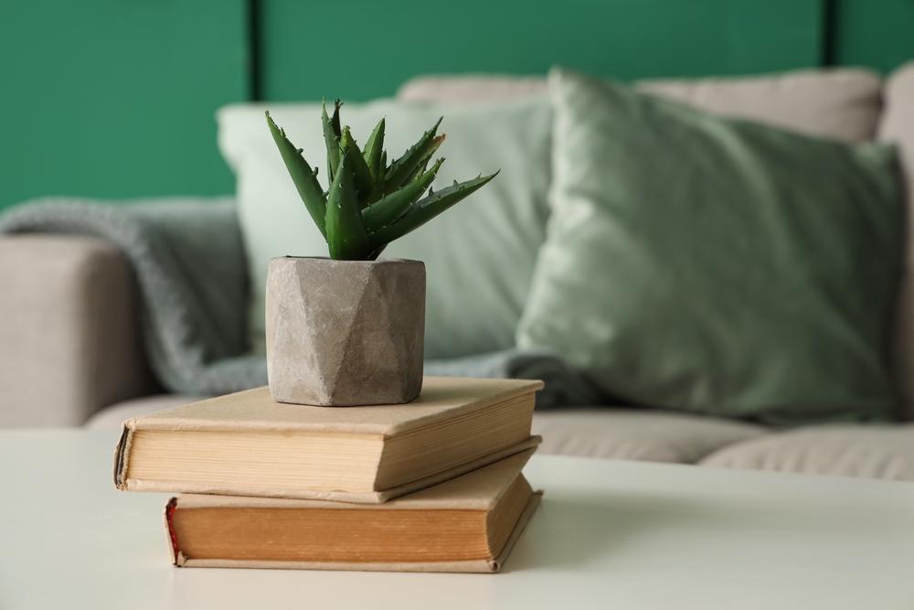 Books,And,Succulent,On,Table,In,Living,Room.,Closeup A cozy room featuring a couch and a large window showcasing a stunning view of the city skyline